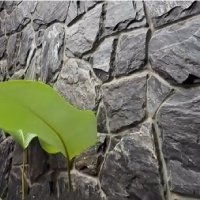 stone cladding category